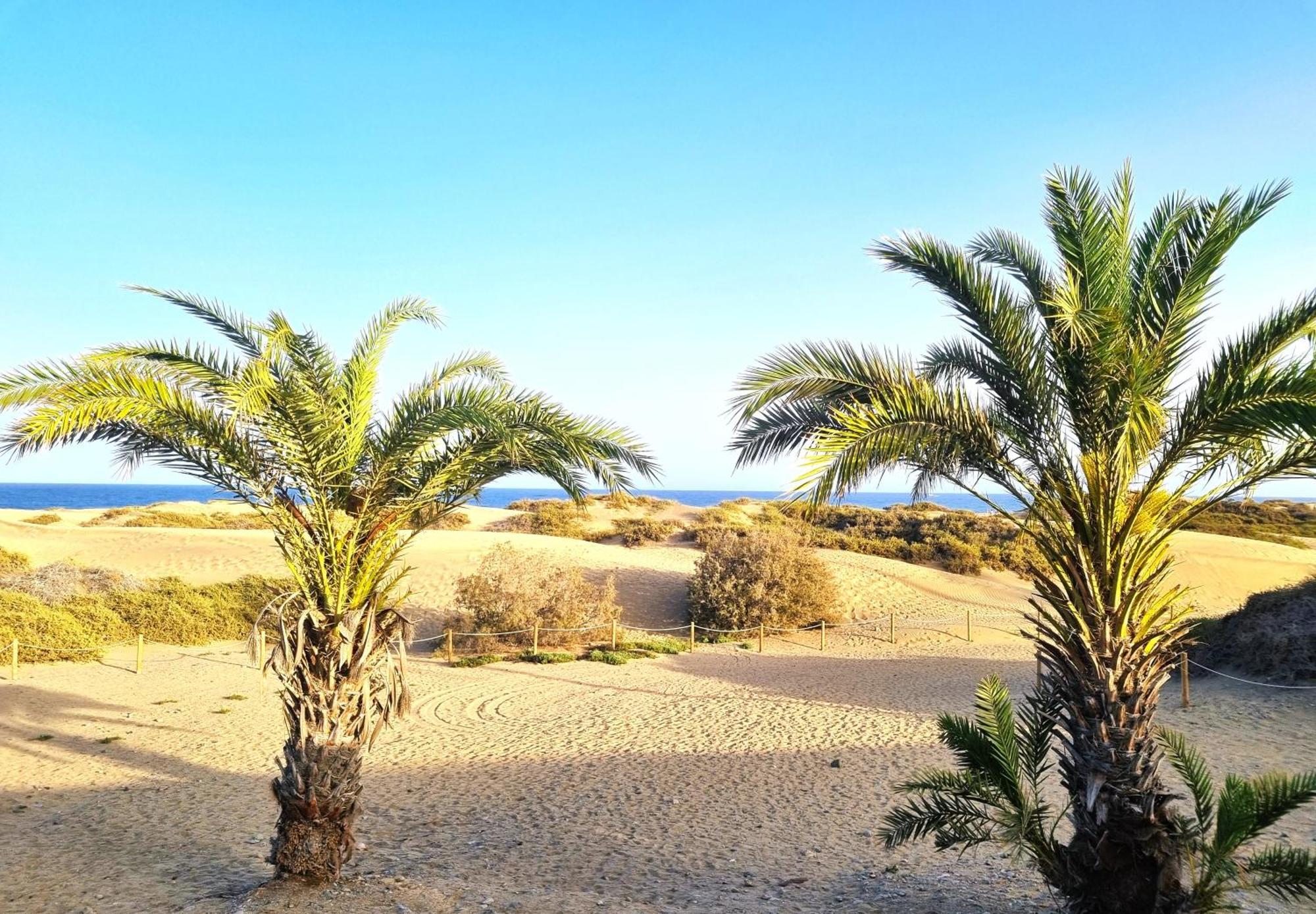 Sol Oceano Apartment Maspalomas (Gran Canaria)